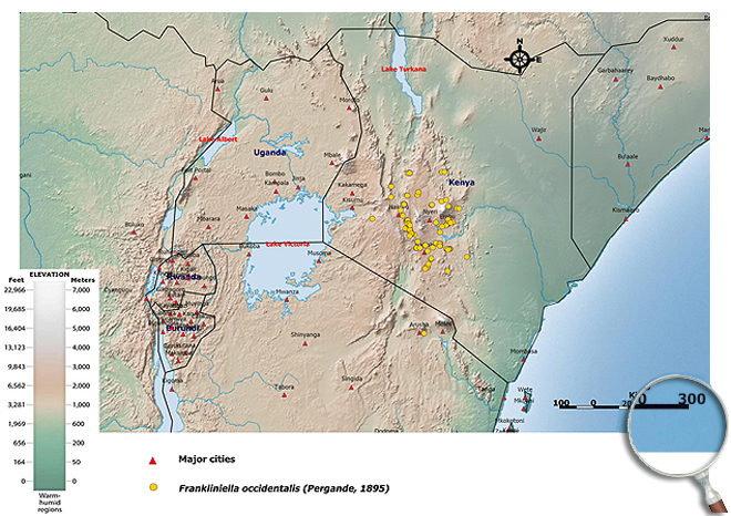 Distibution Map East Africa